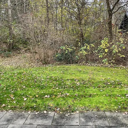 In With Outdoor Swimming Pool