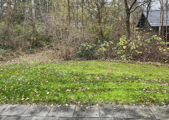 In With Outdoor Swimming Pool